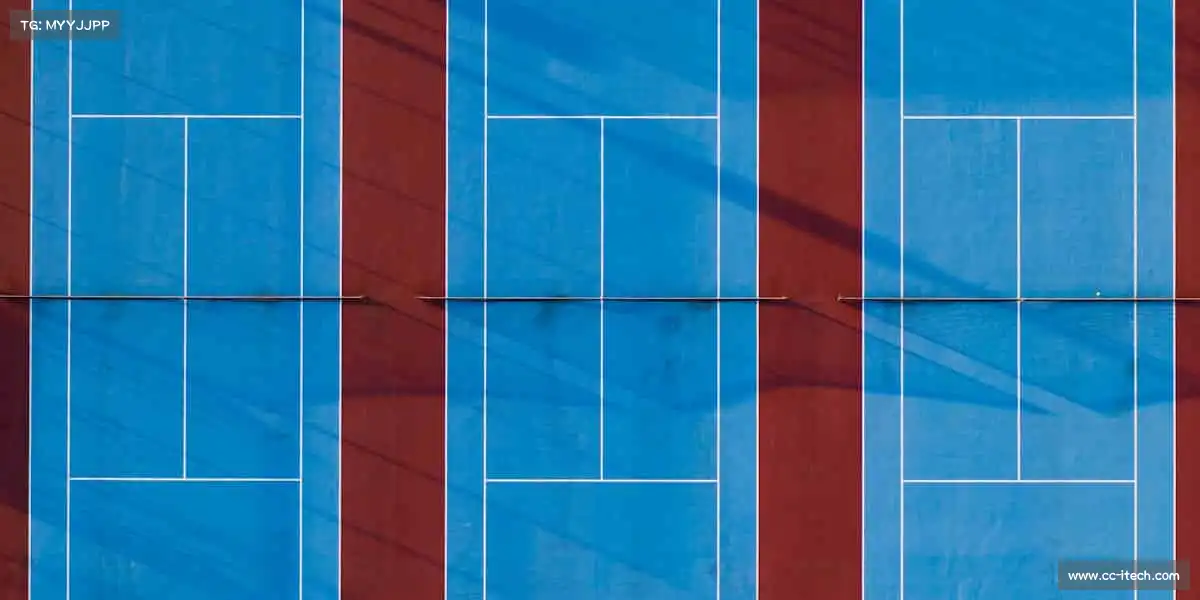 欢迎来到公赌船jcjc710线路——🥋跆拳之道,刚柔并济!